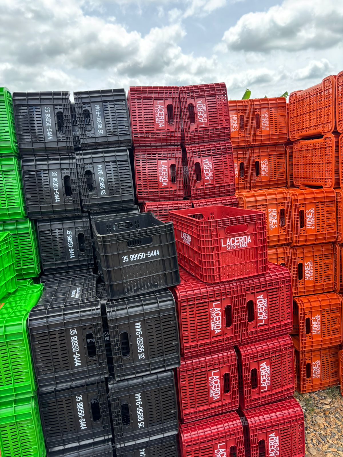 Caixas plásticas agrícolas personalizáveis