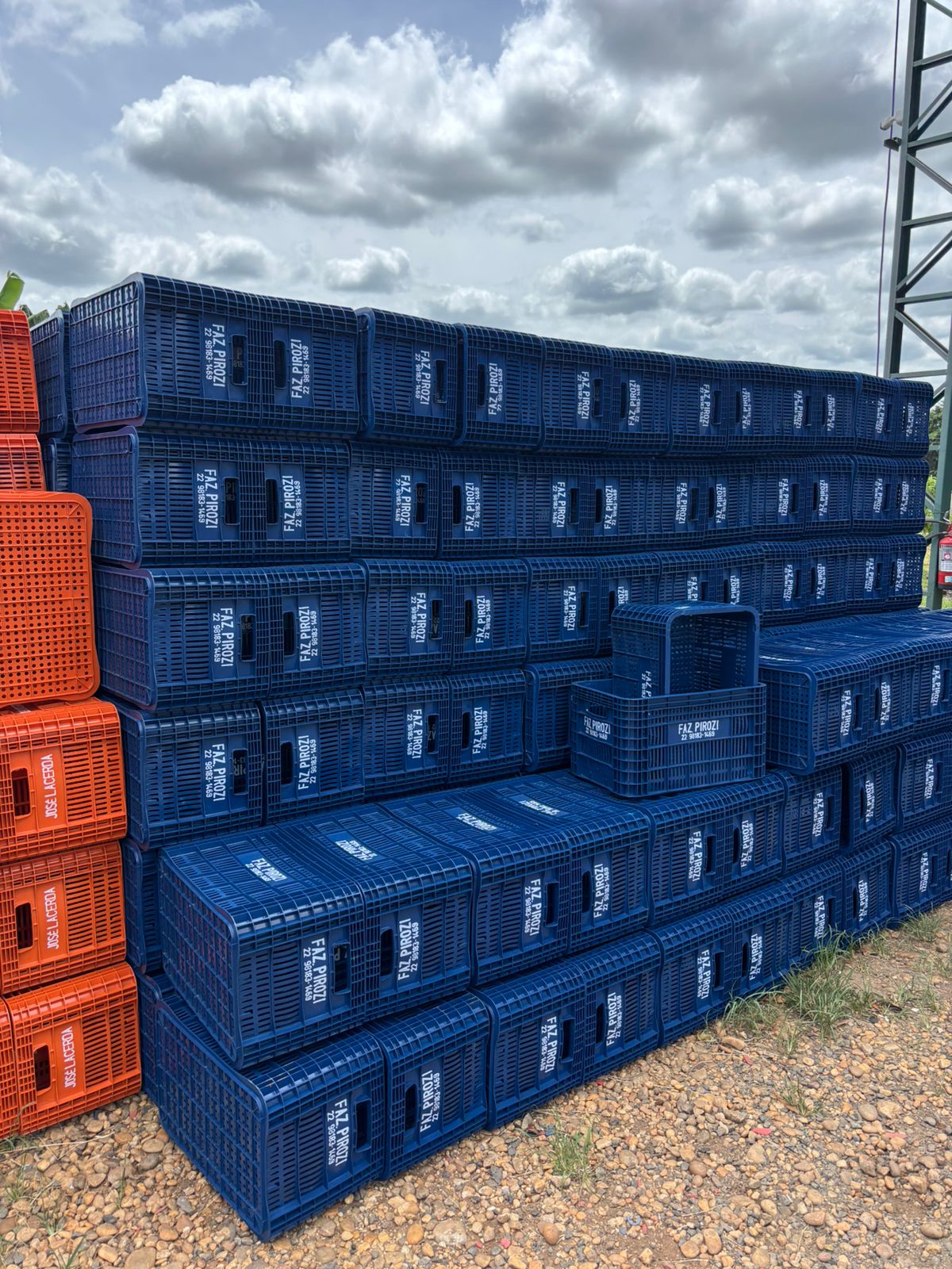 Caixas para colheita