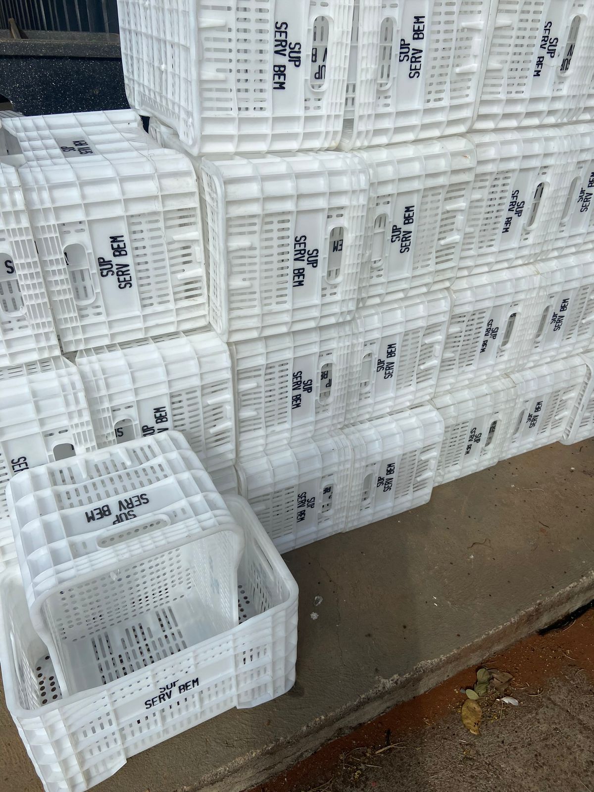 Caixas coloridas agrícolas